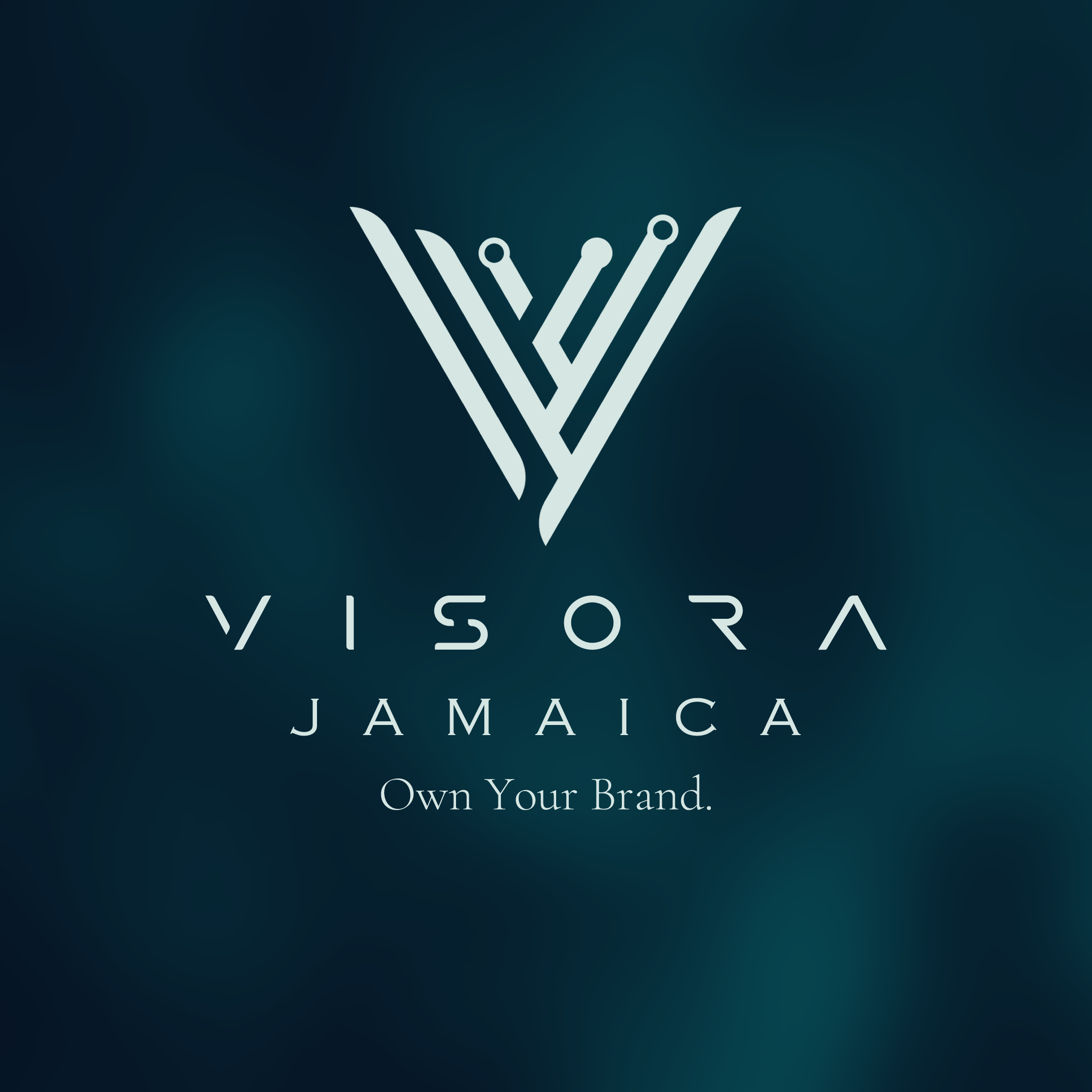 Visora Logo